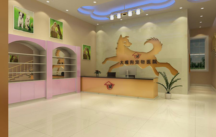 郑州宠物店装修设计-选择合适的风格很重要