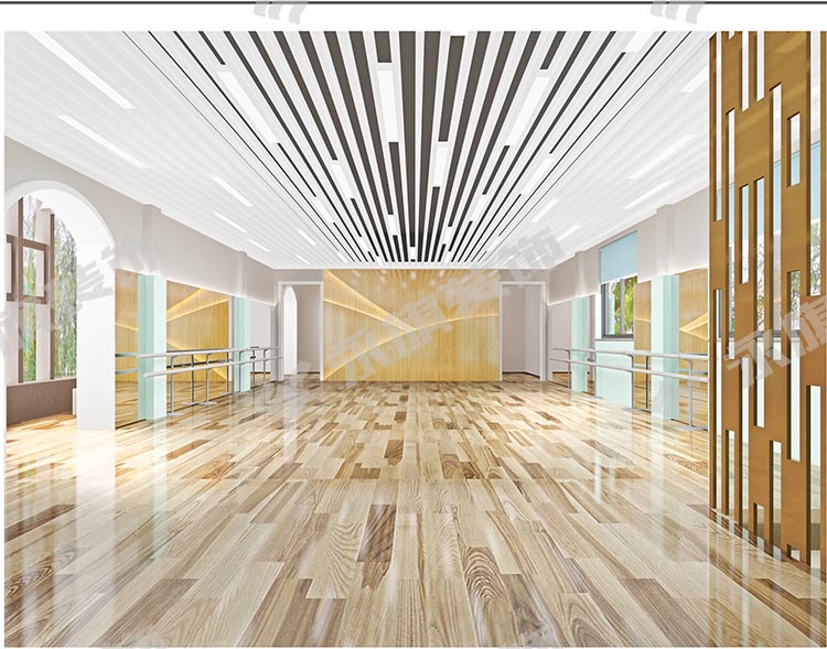 河南小学艺术中心设计 河南小学艺术中心设计