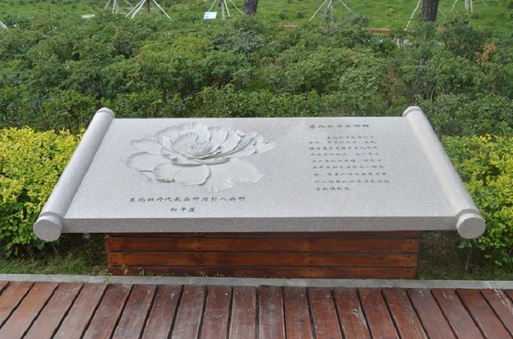 郑州学校景观设计